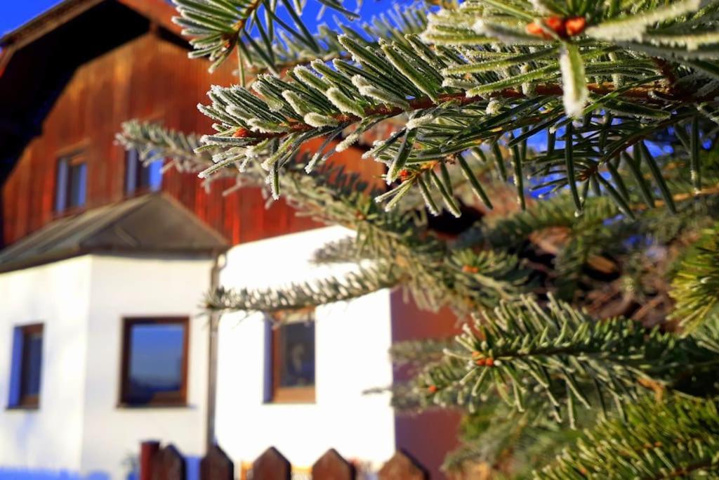 "Stone'S Throw" Krumlov 5 Min By Car, Lipno 15 Min By Car, 2 Bdrooms,Playroom Kájov Exterior photo